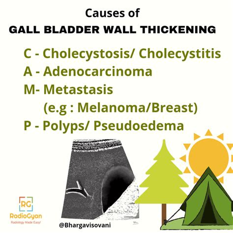 best location to measure gallbladder wall thickness|normal gallbladder wall thickness.